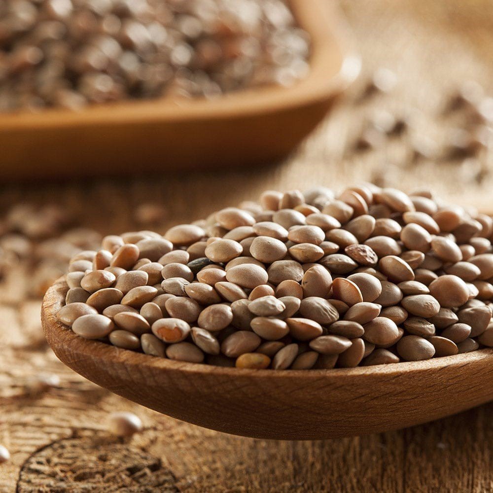 Brown Lentils