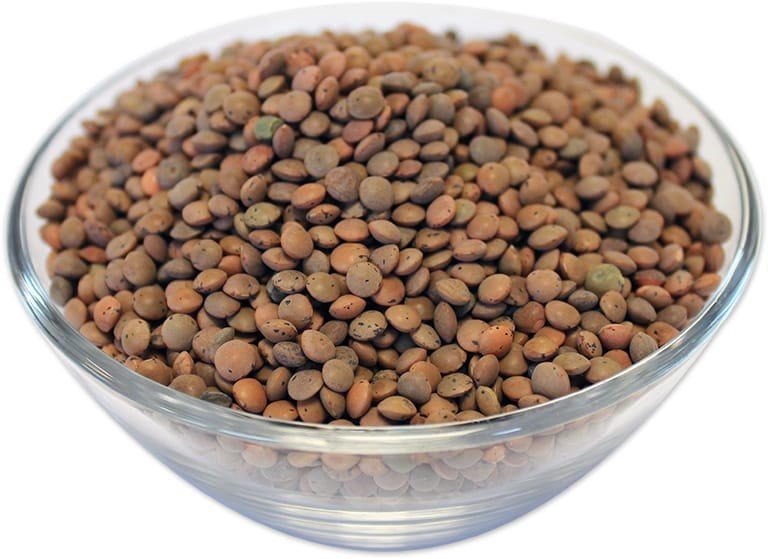 Brown Lentils view 3