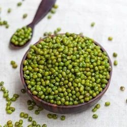 Green Lentils