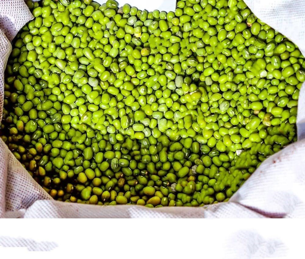 Green Lentils view 2