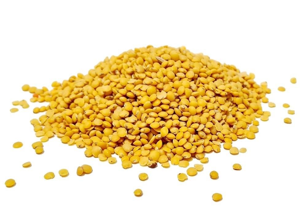 Yellow Lentils view 2